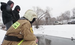Soggy Pooch Rescued in Russia