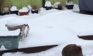 Going to the Snow Beach