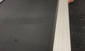 Isolation Entertainment With Candy