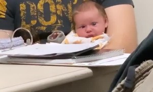 Baby Left Perplexed by Dad's Study Guide