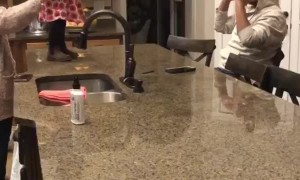 Toddler Fearlessly Trust Falls During Playtime