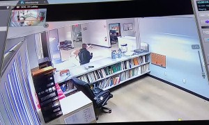 Deer Got Into a Modern Office in San Diego Area