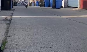 Mini Bike has a Big Crash