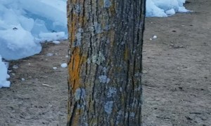 Winds Force Ice from Lake Into Buildings on Shore