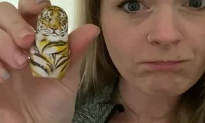 Amazing Tiger King Craft