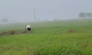 Dog House Tumble Along in Heavy Storm