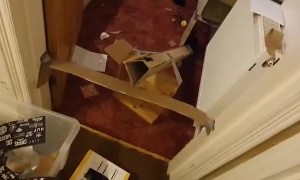 Quarantine Boredom Equals Cool Goldberg Machine