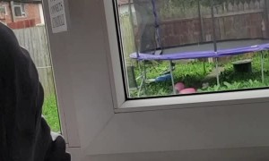 Man Asks Echo for Answers about Coronavirus