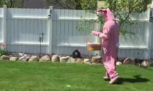 Disgruntled Easter Bunny