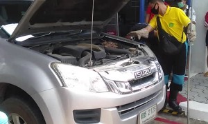 Snake Tries to Sleep in Truck