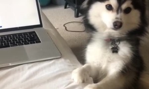 when mum wouldn’t give me Hot Cheetos? Yep, and then this happened. 