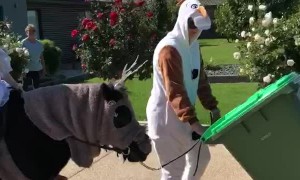 She sure did “Let It Go”