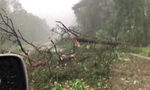 Couple Surprised at Witnessing a Tornado