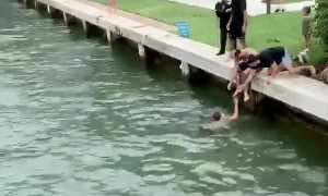 Man Leaps into River to Save Struggling Doggo