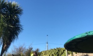 Backyard Soccer Kick Takes out Sister