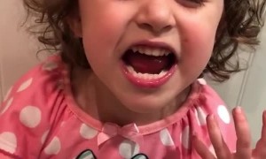 Check out this little girl's rendition of 'No Scrubs'
