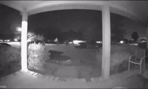 Doorbell Captures Step Slip Up