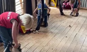 Kids Practicing Shearing