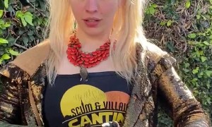 Baby Hummingbird Makes Surprise Appearance