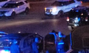 Hero Police K9 Suppresses Car Thief