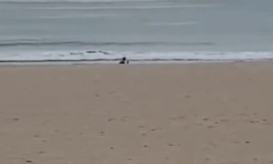 Floating Ship Optical Illusion