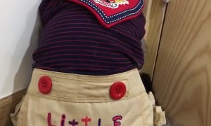 Kitty Sulks in Corner After Being Told Off