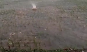 Huge Hail Landing in Flooded Field