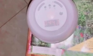 Panicked Parents Don't Appreciate Son's Affection