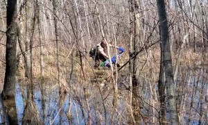 Sheriff’s Deputy rescues injured bald eagle