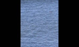 Australians Use Drone to Fish