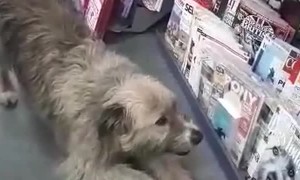 Cover Model Kratu Sees Himself on the Magazine Cover