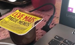 Cat Trying to Snag a Yogurt