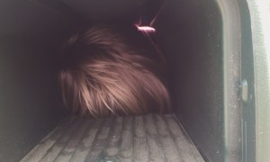 People Having A Worse Day Than YOu