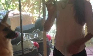 Clipping Dog's Nails With a Peanut Butter Distraction