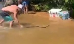 Friends on a Lake Visited by Large Water Snake