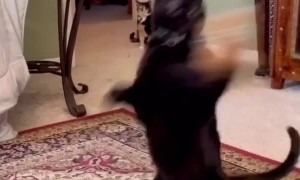 I totally nailed that landing! Just sayin!⁣ ⁣