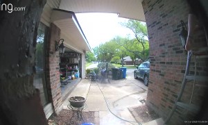 Ladder Fall Caught on Doorbell Camera