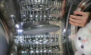 Kitty Recreates Space Mission