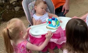 Baby Sleeps Through Birthday Celebration