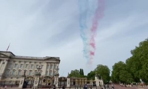 Witnessed the Royal Air force  flyover at Buckingham Palace in celebration of VE Day