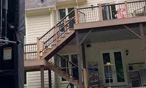 Trick Shot! Throwing Football into a Basketball Hoop over the House