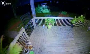 Storm Takes Out Huge Tree Next To Home