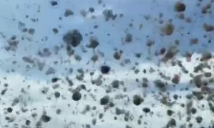 Bet you've never seen a tumbleweed tornado before! 