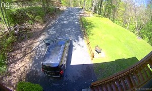 Bear Breaks Into Minivan to Finish off Frappé