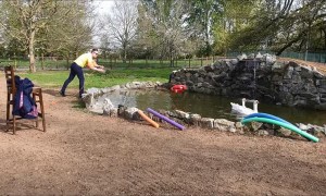 Animals Enjoying Hotel Holiday