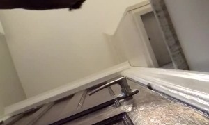 Dogs Waiting Impatiently Outside Bathroom Door