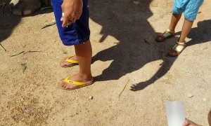 Toddler Attempts to Feed Baby Elephant