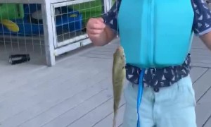 Boy Catches His First Fish on Camera