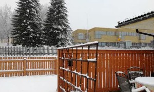 Sudden Snow Blankets Finland After Fine Day