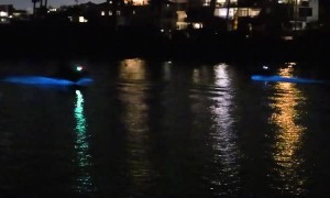 Jet Ski Trails Lit by Bioluminescent Algae